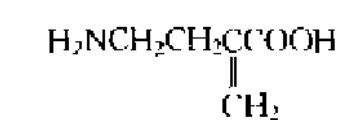 了\x27氮基-a一亞甲基丁酸