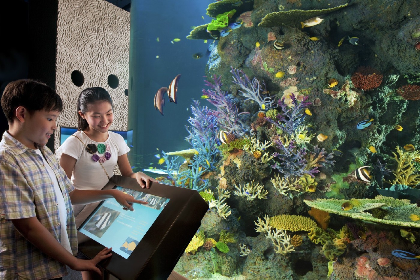 新加坡海洋生物園