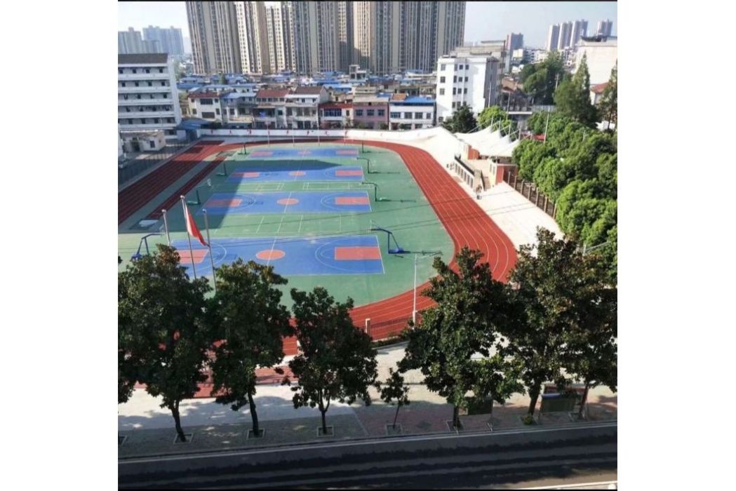 蔡河中學 蔡河中學
