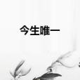 今生唯一(小說) 今生唯一(小說)