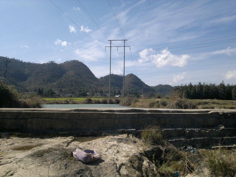 桃竹村 桃竹村