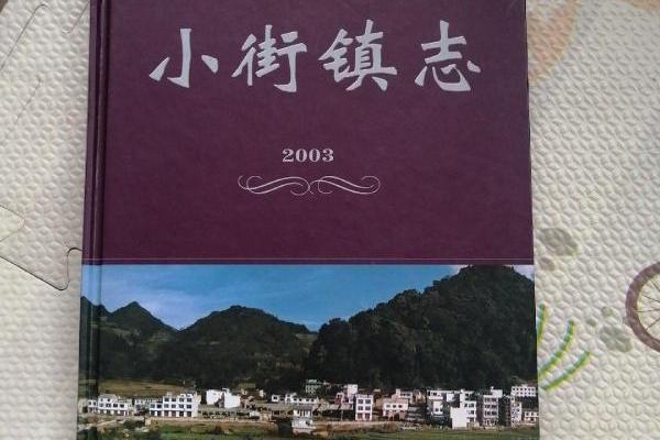 小街鎮志 小街鎮志