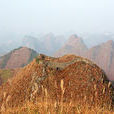 岜山 岜山