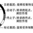 反載體 反載體