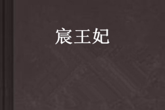 宸王妃 宸王妃