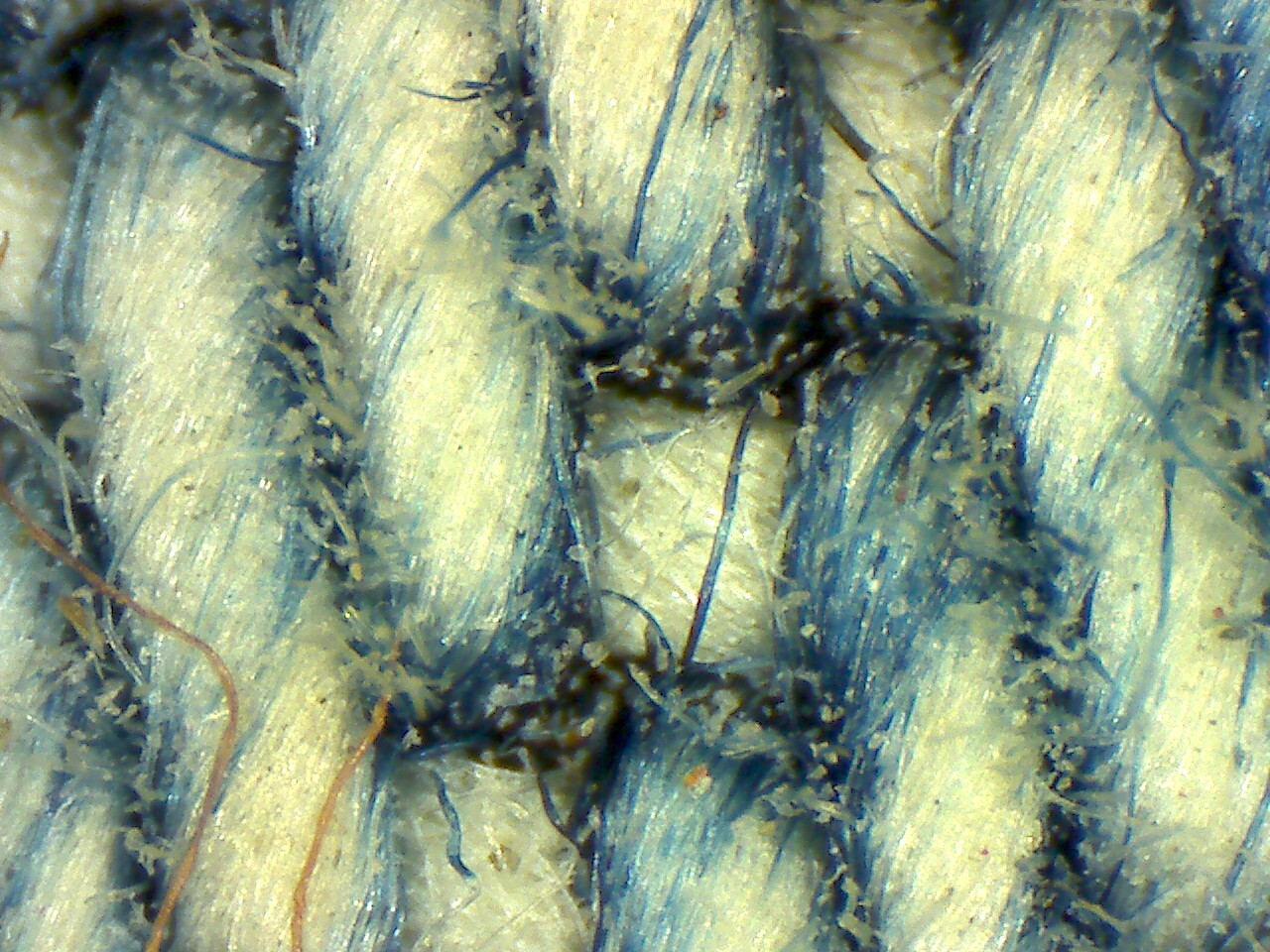 艾尼提顯微鏡觀測紡織纖維