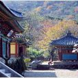甲寺 甲寺
