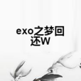 exo之夢回還W exo之夢回還W