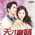 天才豪婿 天才豪婿