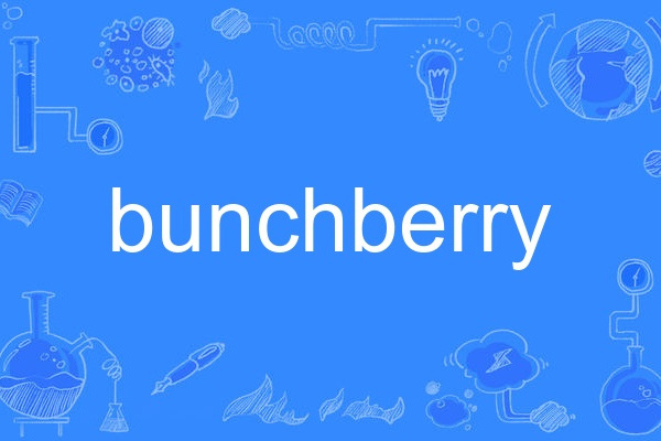 bunchberry bunchberry