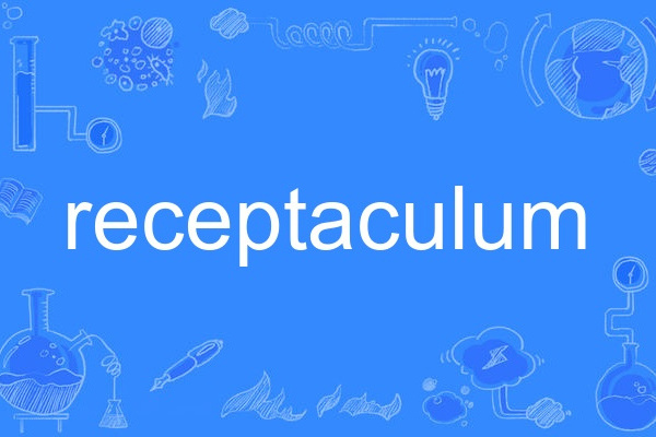 receptaculum receptaculum