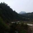 林塢村