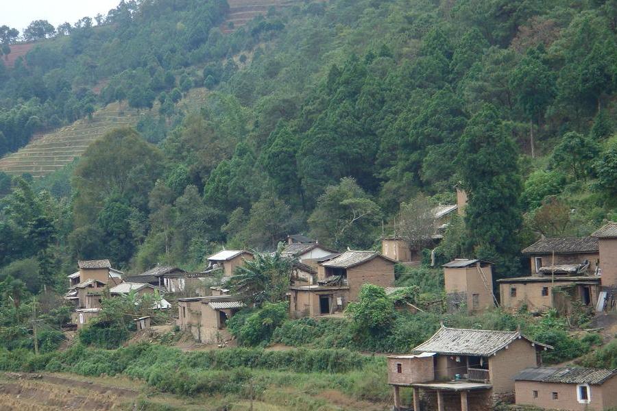河塔村 河塔村