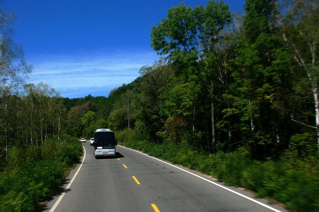 長白山路(山東省青島市的區域性城市道路) 長白山路(山東省青島市的區域性城市道路)
