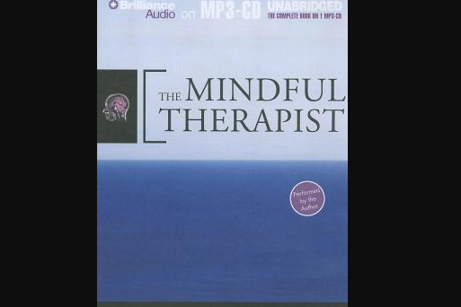 The Mindful Therapist The Mindful Therapist