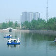 白溝公園 白溝公園