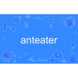 anteater anteater