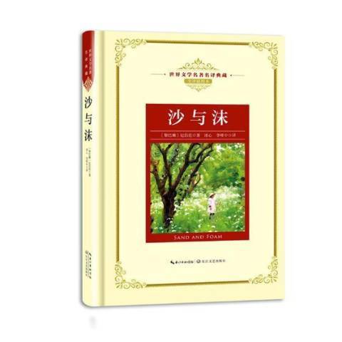 沙與沫(2018年長江文藝出版社出版的圖書) 沙與沫(2018年長江文藝出版社出版的圖書)