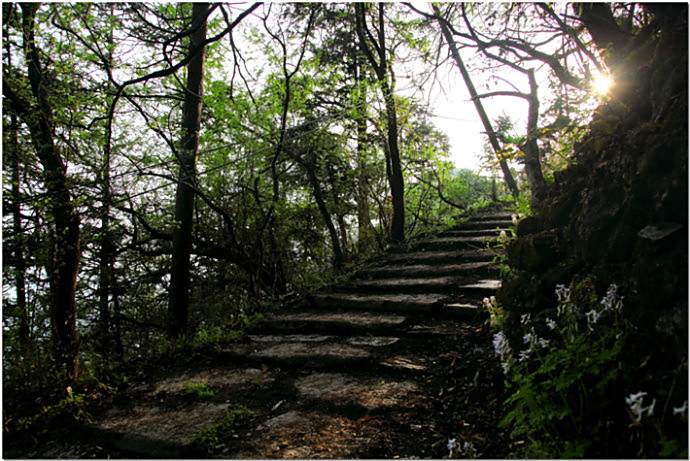 阜嶺古道 阜嶺古道