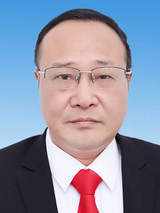 向啟平 向啟平