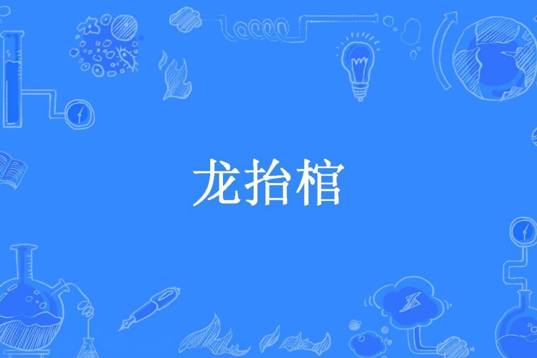 龍抬棺(亂城所著小說) 龍抬棺(亂城所著小說)