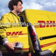 DHL小包 DHL小包