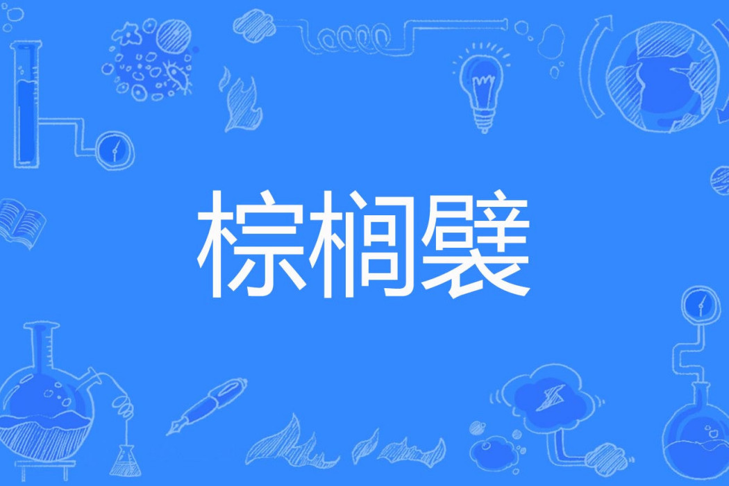 棕櫚襞 棕櫚襞