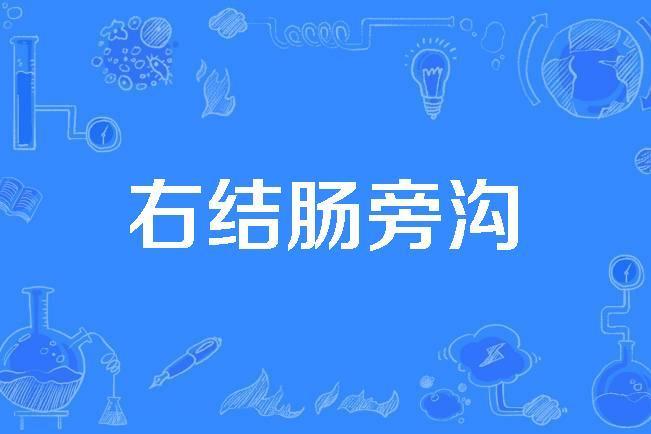 右結腸旁溝 右結腸旁溝