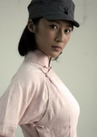 平原槍聲(2010年董勇主演電視劇)