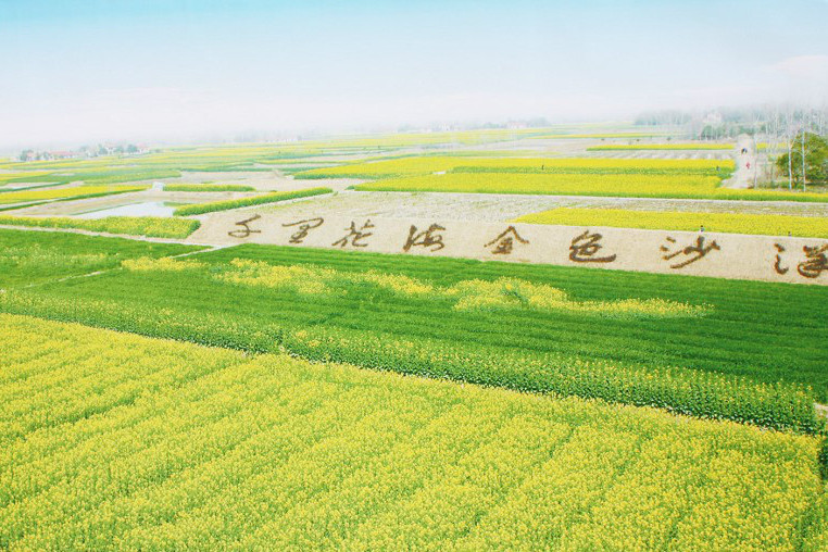 沙洋站 沙洋站