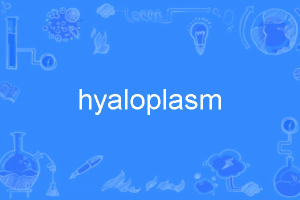 hyaloplasm hyaloplasm