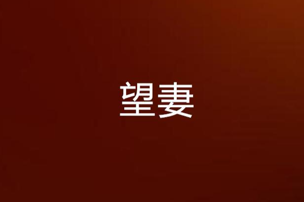望妻 望妻
