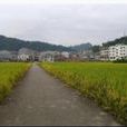 鹽店村(山東省臨沂市郯城縣高峰頭鎮鹽店村) 鹽店村(山東省臨沂市郯城縣高峰頭鎮鹽店村)