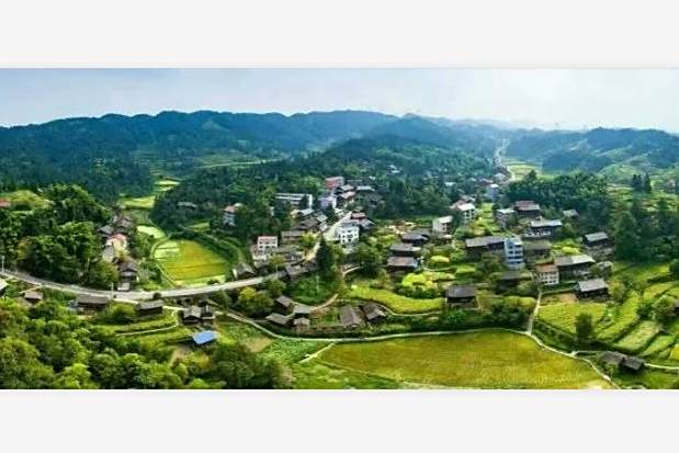 采芹村