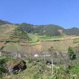 新景村(彬縣北極鎮新景村) 新景村(彬縣北極鎮新景村)
