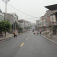 長嶺鎮(開江縣長嶺鎮) 長嶺鎮(開江縣長嶺鎮)