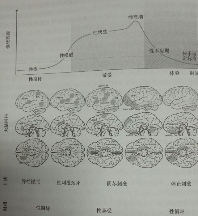 性興趣網路 性興趣網路