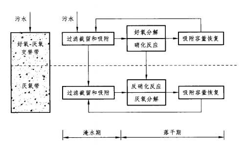 人工快速滲濾池污染物去除機理模式