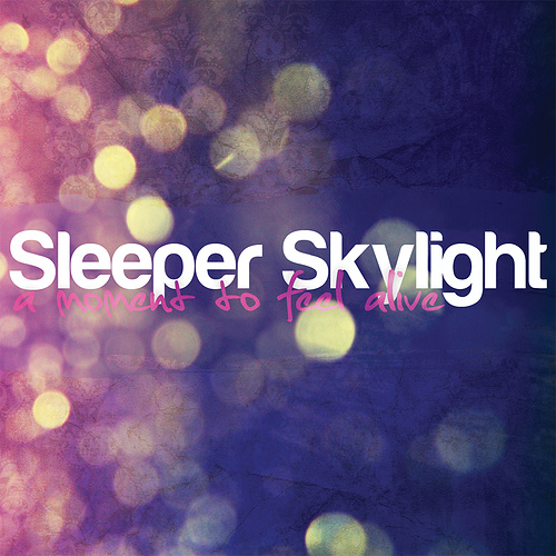 Sleeper Skylight