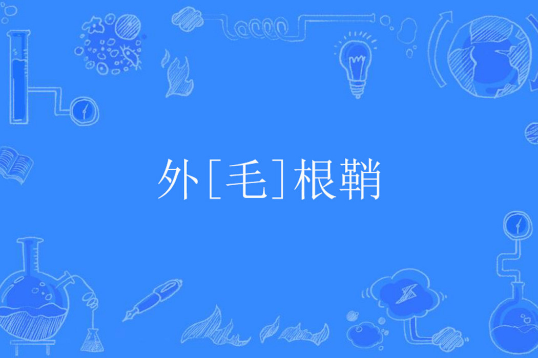 外[毛]根鞘