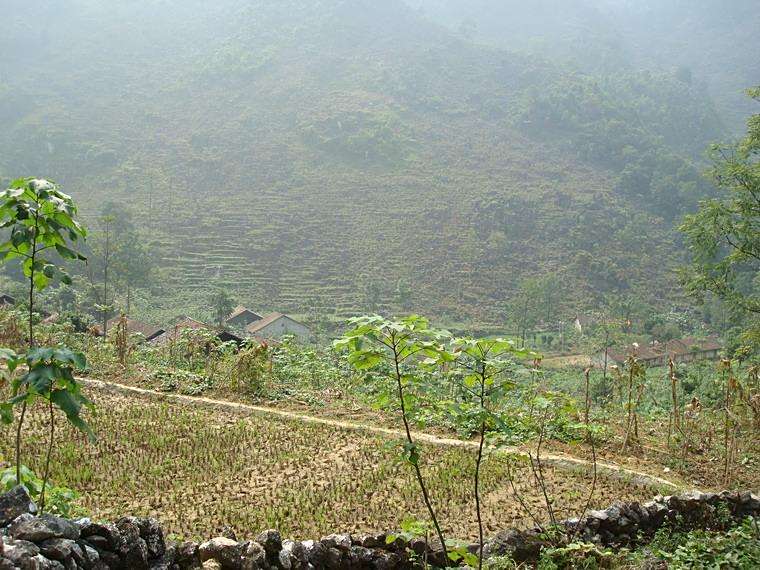 龍燈村(雲南省文山富寧縣谷拉鄉龍燈村) 龍燈村(雲南省文山富寧縣谷拉鄉龍燈村)