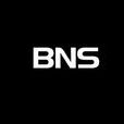 商務社交BNS 商務社交BNS