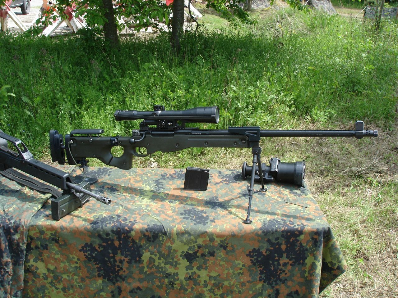 G22狙擊步槍(G22)