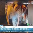 徐妍(南京醫科大學第一臨床醫學院2020級研究生) 徐妍(南京醫科大學第一臨床醫學院2020級研究生)