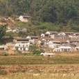 回歸村 回歸村