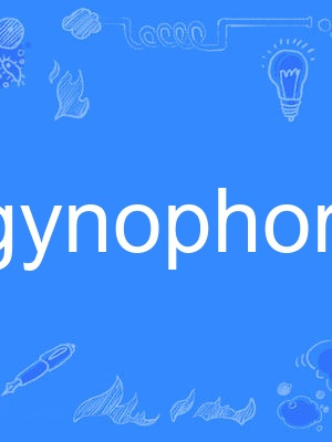 gynophore gynophore