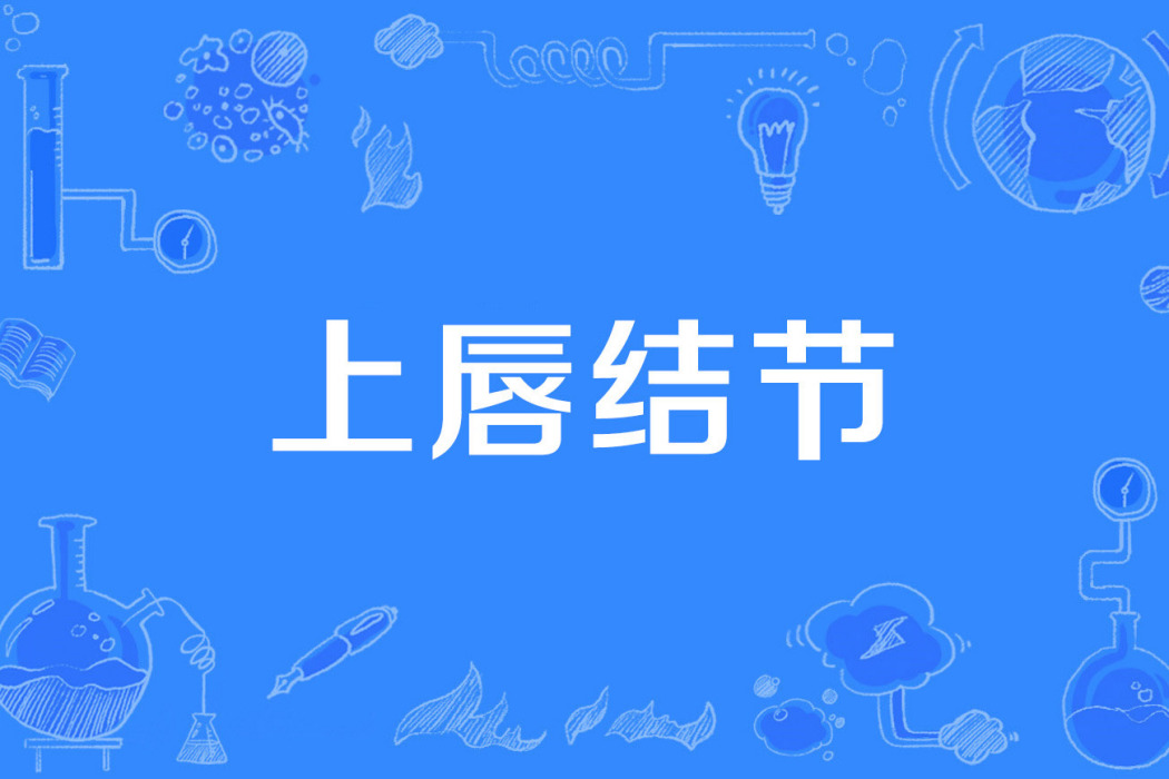 上唇結節 上唇結節