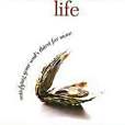 Treasures of the Transformed Life Participants Workbook Treasures of the Transformed Life Participants Workbook