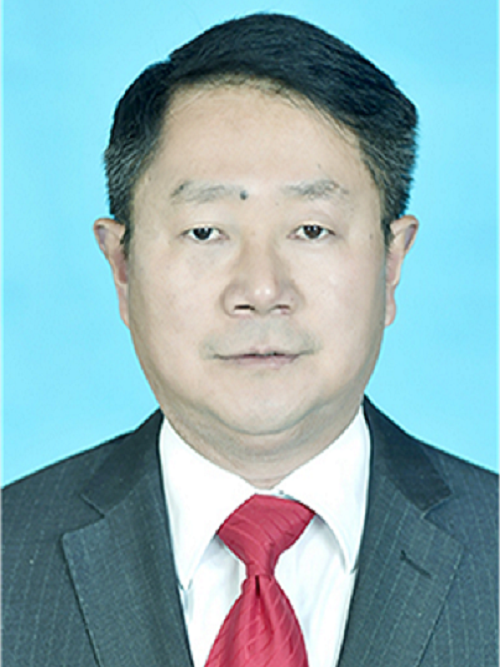 王華(安徽省懷寧縣財政局黨組成員、總會計師、辦公室（人事教育股）主任（股長）)