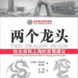 兩個龍頭 兩個龍頭